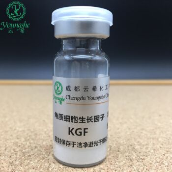 重组人角质细胞生长因子（rh-KGF-2）又称成纤维细胞生长因子10