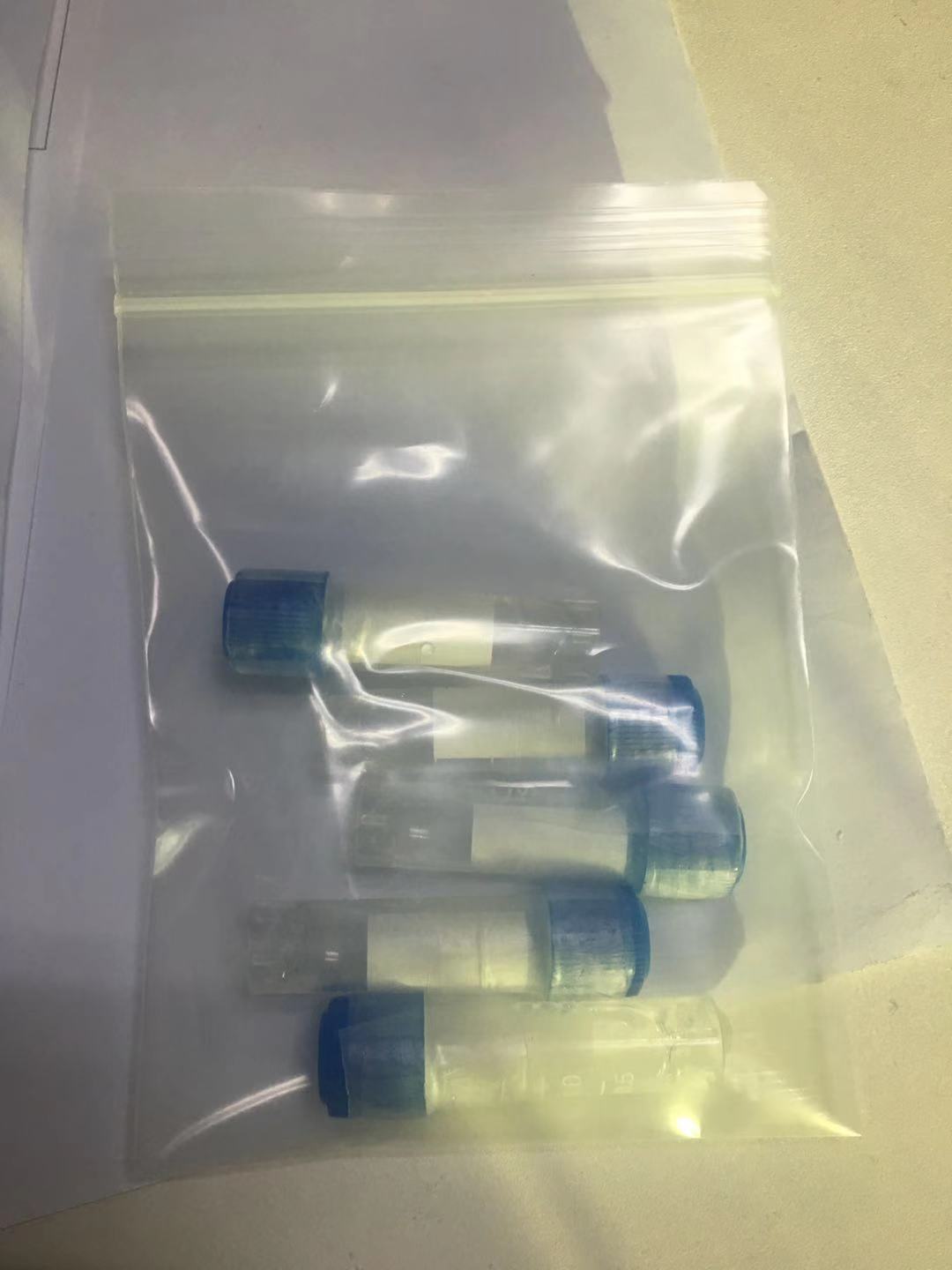 荧光素酶