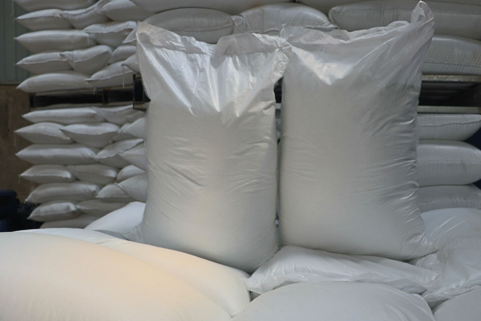 e5b9a00f4ed6d26b8eccf6d95268f834