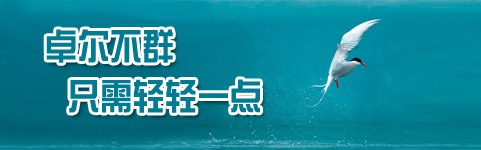 卓尔不群1
